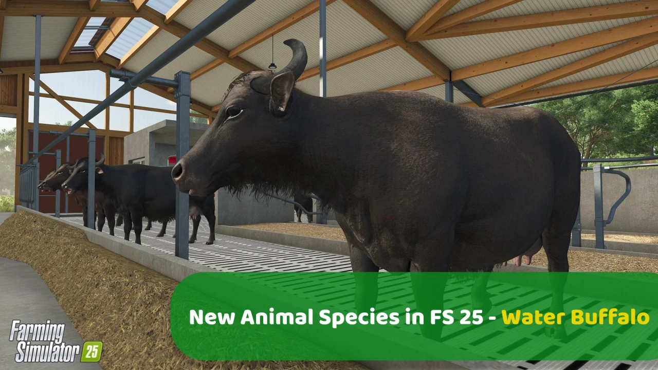 Water Buffalo – A New Animal Species in FS25